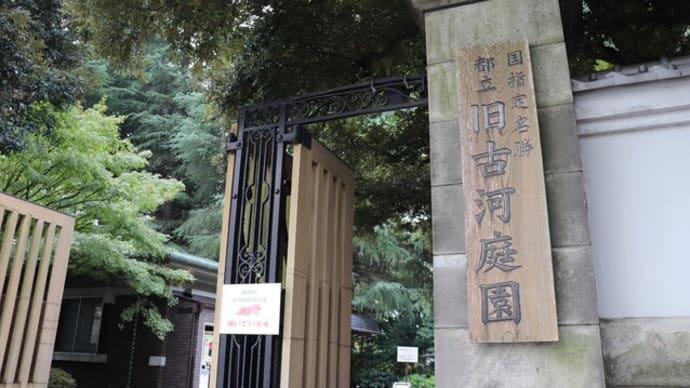 旧古河庭園 庭編