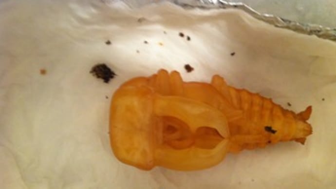 じんこうようしつ