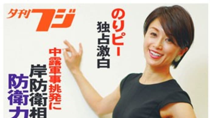 今、日本に求められている政策は防衛力の大幅強化と酒井法子さんのように世界で愛されるキャラだ!!