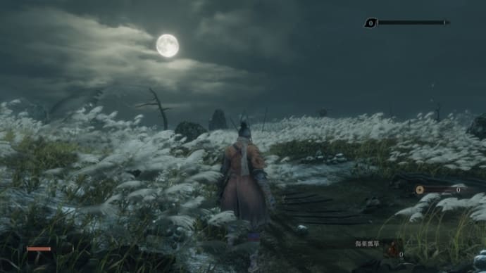 SEKIRO・カカロット