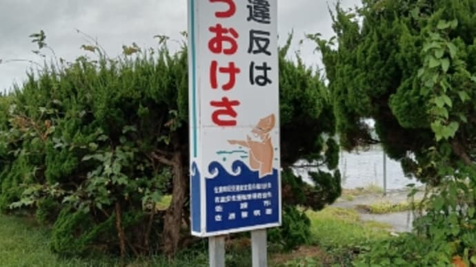 【佐渡】2024遠征費用 備忘録