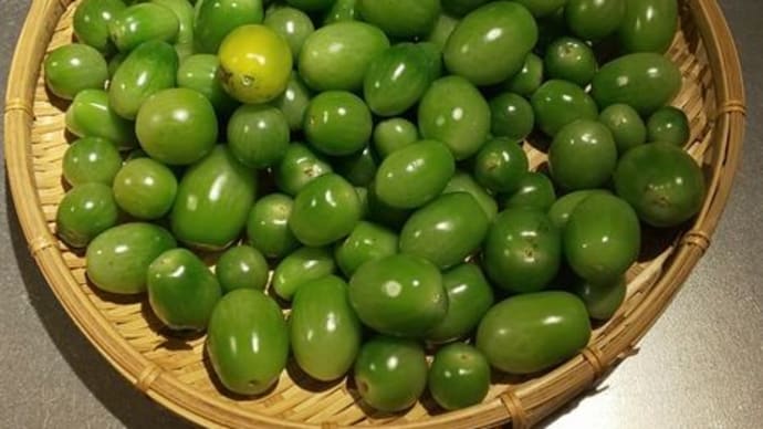 熟さなかったミニトマトで・・・奈良漬けとジャム