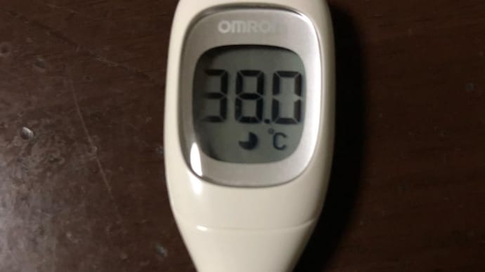 4回目行ってきました