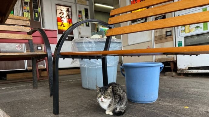コインレストランでランチ