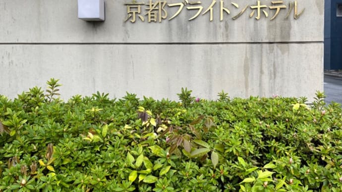 4月13日(日)ウェールズからお越しのご夫妻と京都ツアー