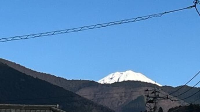 おばぁちゃん、今年は何歳?
