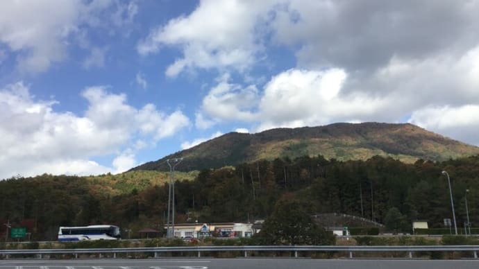 かみありつき