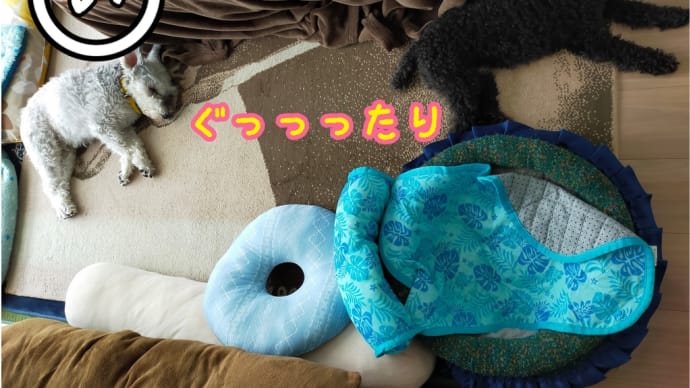 犬だって、疲労･ストレス感じてる