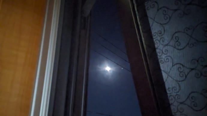 光り輝くハンターズムーン🌝