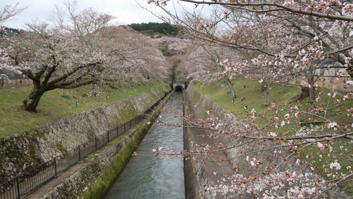 琵琶湖疎水