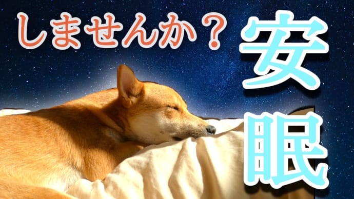 一緒にウトウトしませんか?