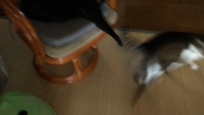 朝のひととき