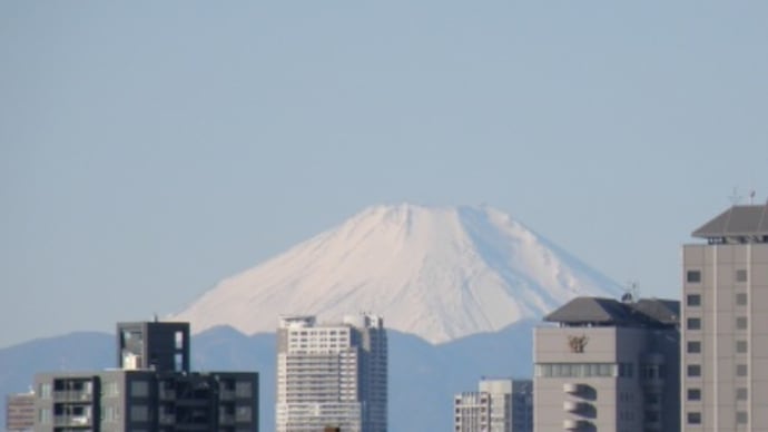 1/2 遠くまで澄んだ景色に富士山:2009年