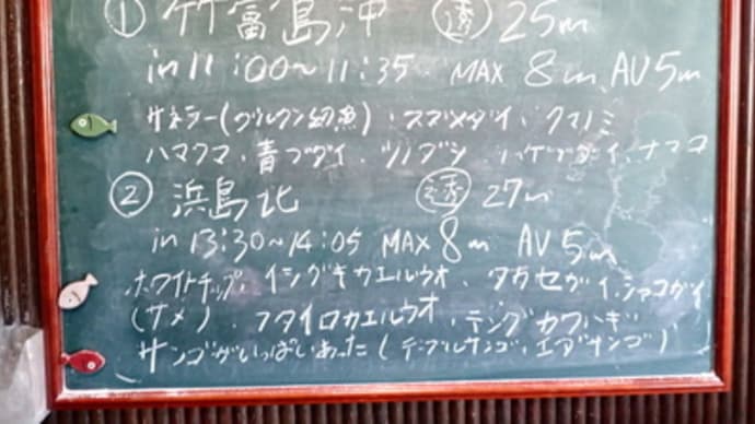 本日のダイビングログ