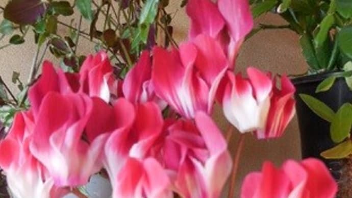 10、山抜けて山河あり ⑧