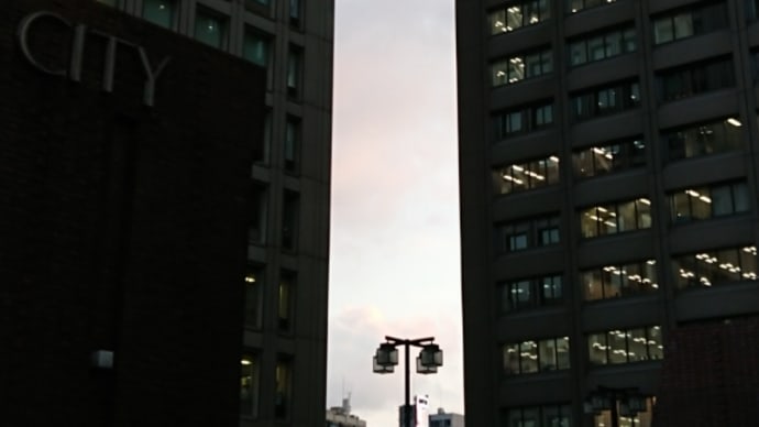 細長い風景