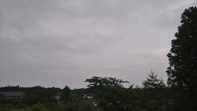 アルストロメリアの空