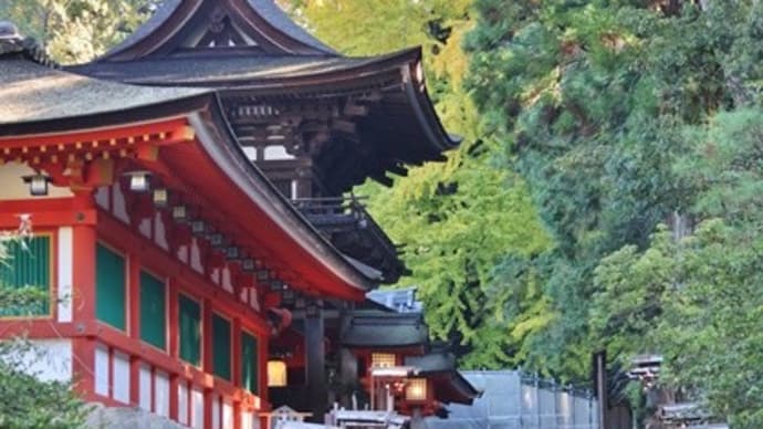 日本最古の神社を参拝！・・・石上神宮　神鶏