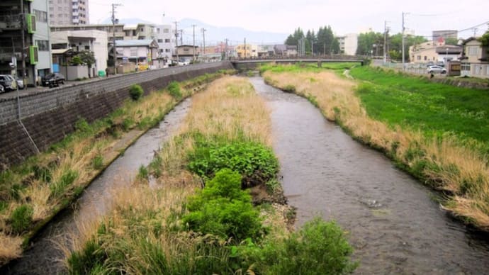 今朝の中津川と下ノ橋 @毘沙門橋