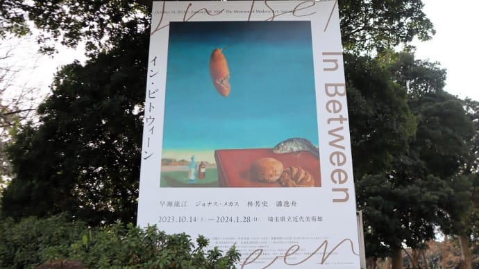埼玉県立近代美術館で、『イン・ビトウィーン』を観ました。