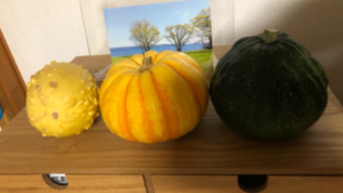 晴れ ハロウィンday