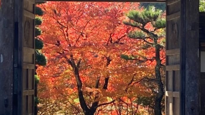 「推しの禅寺見つけ」に出かけたよ