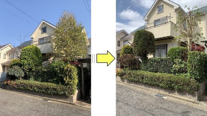 伸び放題となってしまっているお庭の剪定作業