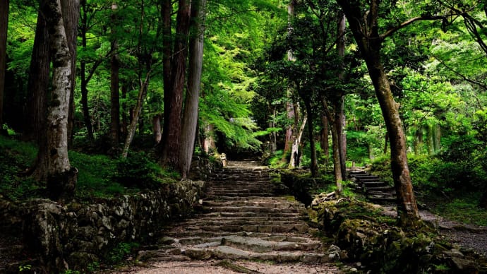 湖東三山・百済寺 2