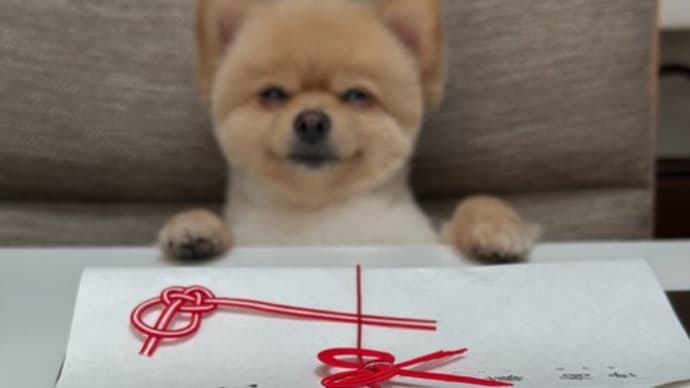 今日は七夕