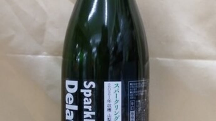 スパークリングワインの新酒 デラウェア新酒ワイン ラッシュ⑧