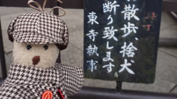 [京の冬の旅」で「東寺」へ。スタンプラリーでひと休み。あぶり餅とお茶を「かざりや」で頂きに