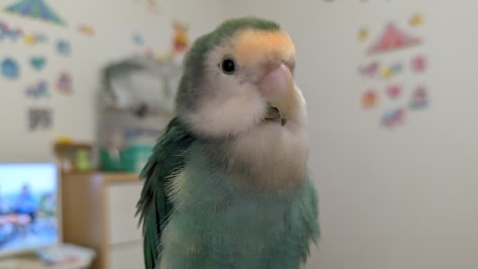早起きは三文の徳遅くなるのもお得😊