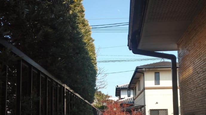 久留米市新型コロナ感染者情報 430例目から441例目発生発表 福岡県新型コロナ感染者情報