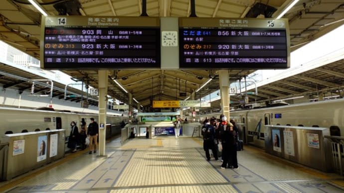 『まりこ』との出逢い... 帰郷編その1