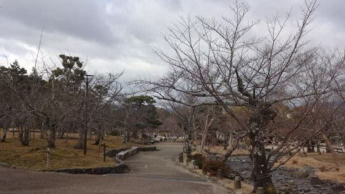 【円山公園と知恩院】娘とお正月京都旅⑤2022/1/5