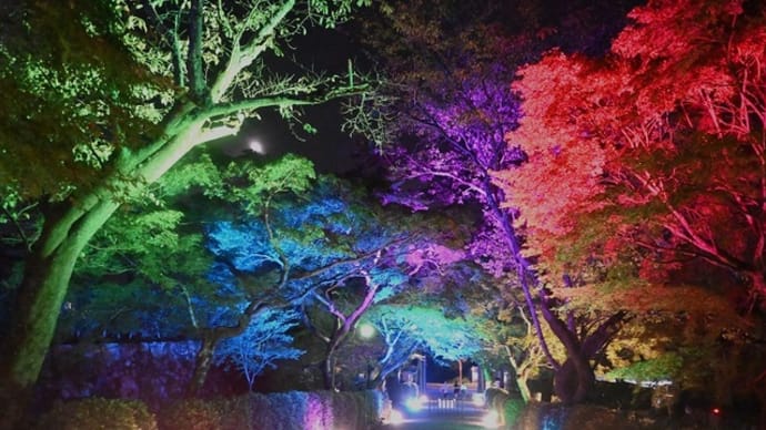西教寺・夏詣 ① ~極楽世界に続く"光の参道"