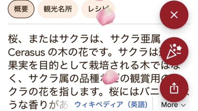 1年間気づかなかったよ。