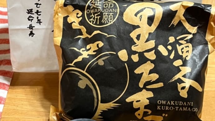 オット宅最終日・大涌谷へ