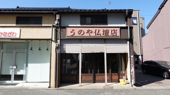 散歩写真 1175