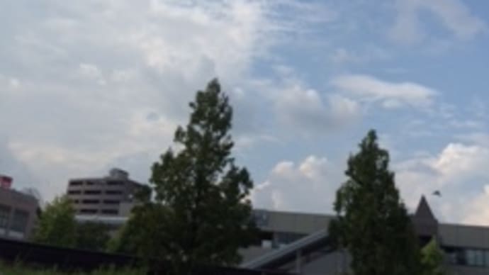 エコカーはエコか？