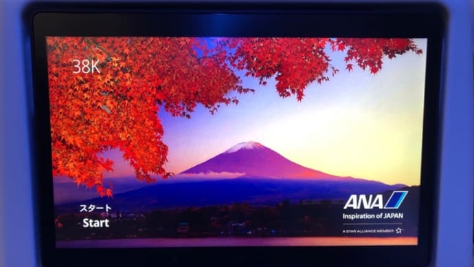 ANAで一時帰国 羽田まで 3