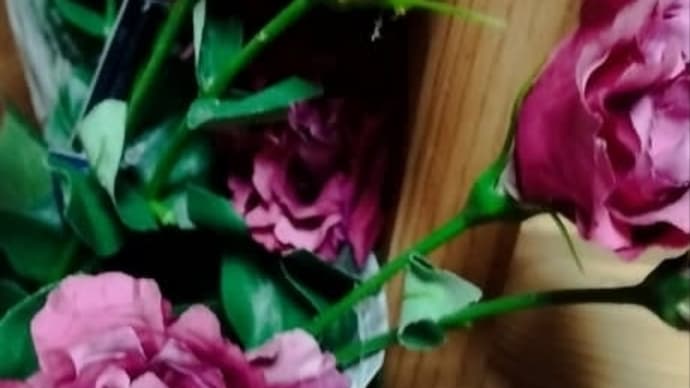 ◇◇◇トルコキキョウの花束を 🎶