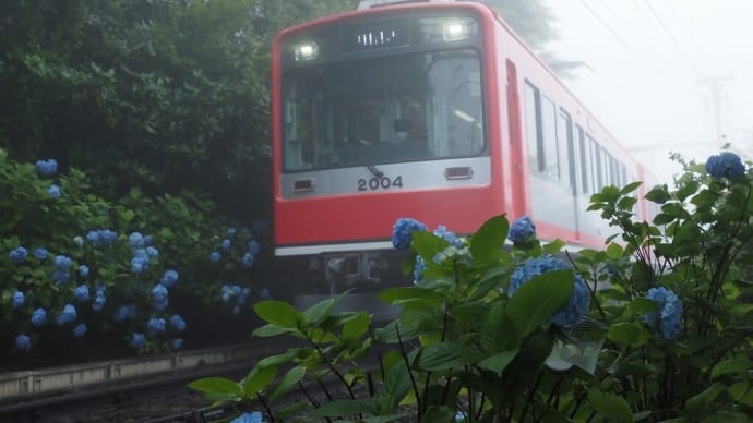 6月の旅(2日目).....箱根神社から白糸の滝へ