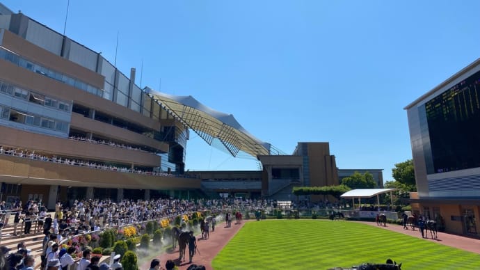 一応競馬ブログ。