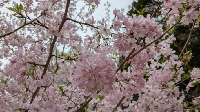 4月