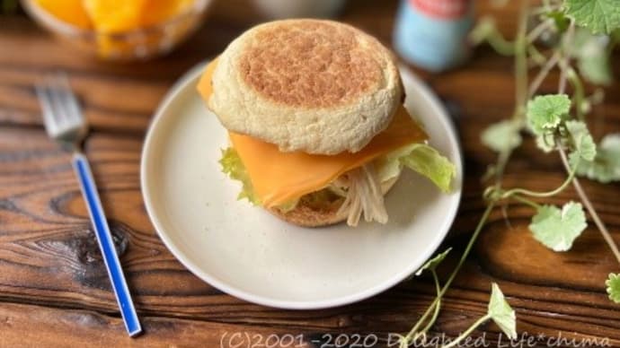 美味しく健康生活~トリプルヨーグルト 砂糖不使用