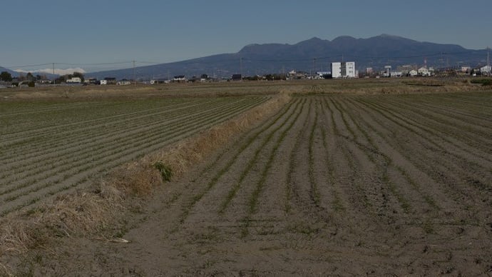 赤城山(武尊山、谷川岳、上越国境方面)