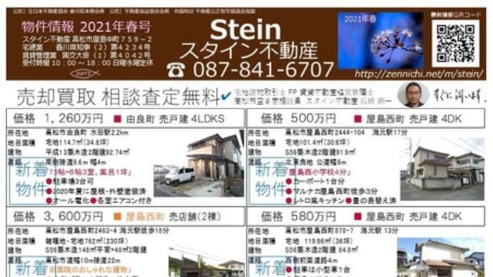 スタイン不動産 折り込みチラシ春号