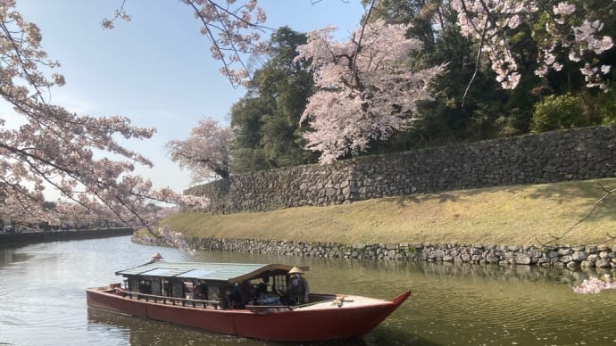 【岐阜・滋賀】竹生島は桃源郷・宝厳寺へ参拝/彦根城の中堀は桜満開　YouTube