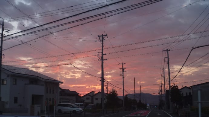 朝の散歩で・・・